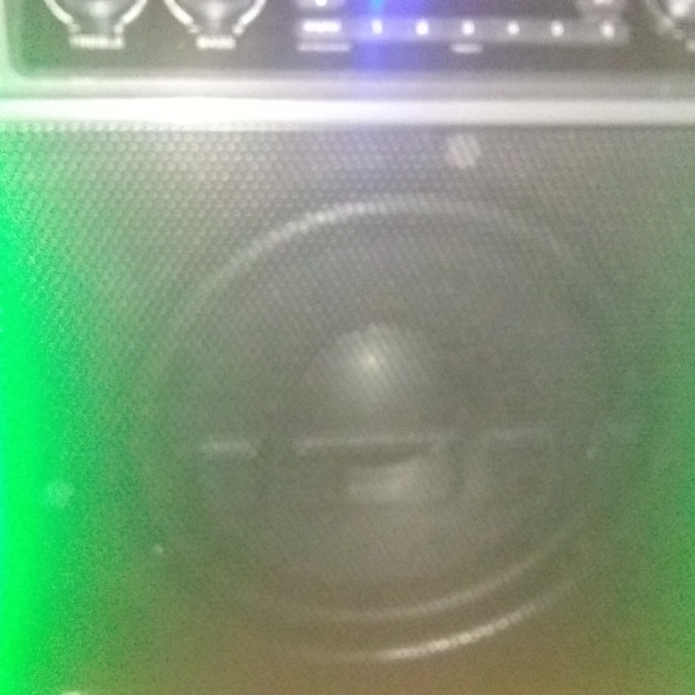 Ion 10in bro subwoofer
